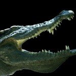 Krokodil Drug